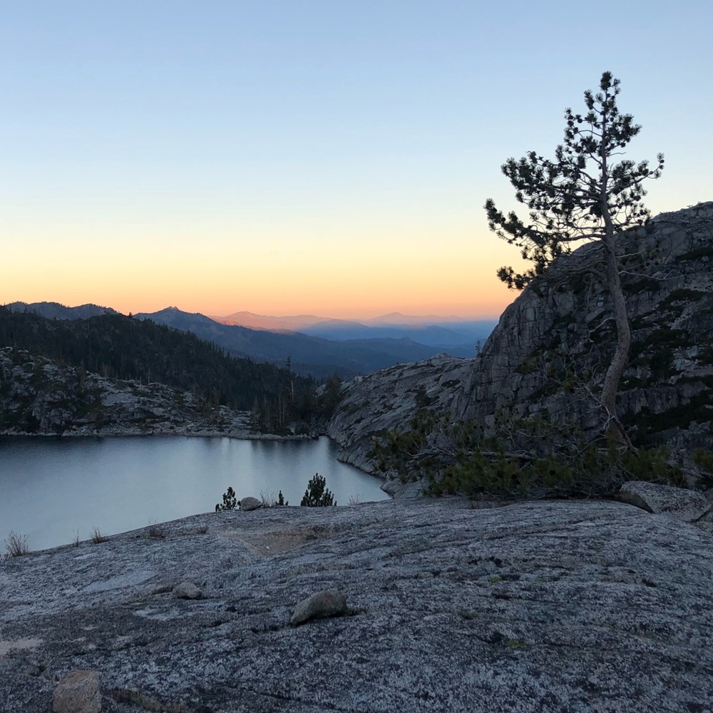 Meet your Posher, Courtney